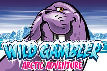 Arctic adventure